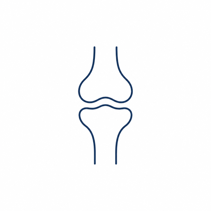Musculoskeletal Health